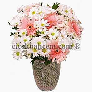 Cam Vazoda Pembe Gerbera ve Beyaz Kırizantem Aranjmanı