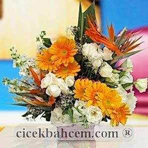 Canlı Renkler Kullanılarak Hazırlanmış Arajman