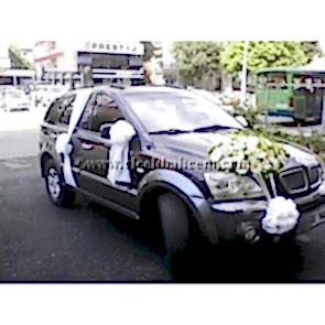 Gelin Arabası Süsleme Beyaz Sedef ve Beyaz Gerbera