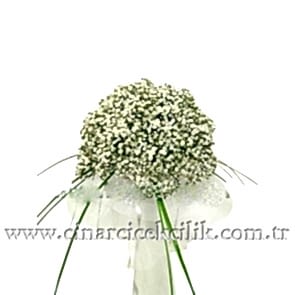 Cipso Filya Çiçekleri( Gelin Çiçekleri) Gelin Buketi