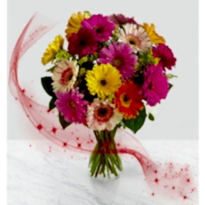 "Gökkuşağı" Rengarenk 15 Gerbera