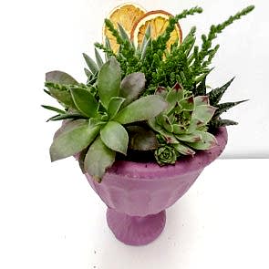 Sukulent Diyarı Teraryum Aranjmanı