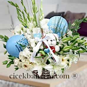 Hoşgeldin Bebek, Mavi Beyaz Lilyum Aranjman 