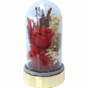 Aşksın Sen Solmayan Gül