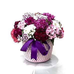 Taş El Yapımı Özel Vazoda Hüsnü Yusuf Çiçeği