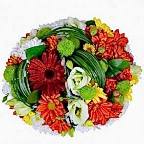 Tatlı Kış Süprizi