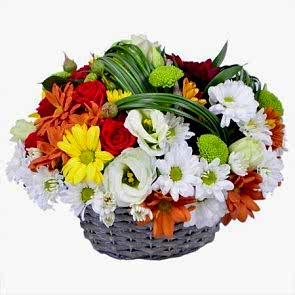 Tatlı Kış Süprizi