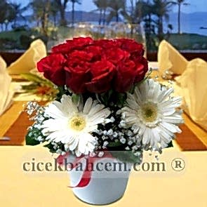 Kırmızı Gül ve Beyaz Gerbera Aranjmanı 