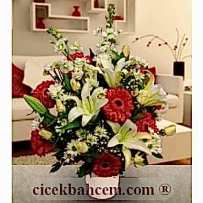 Kırmızı Gerbera ve Beyaz Gül, Lilyum Aranjmanı 