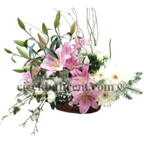 Sepet İçine Pembe Kokulu Lilyum 