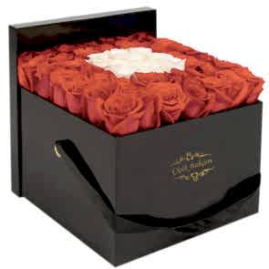 Kalbimin Aynası, Kutuda 45 Kırmızı Beyaz Gül