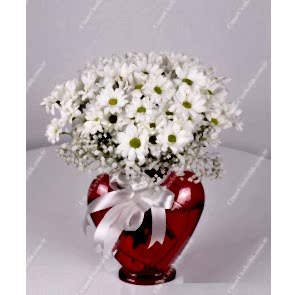 Beyaz Kır Çiçekleri, Çiçek Gönderme 