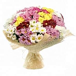 Karışık Krizantem Çiçeği, Papatya Buketi