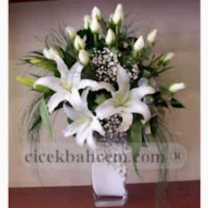 Beyaz Kokulu Lilyum Beyaz Gül