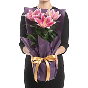 Özel Tasarım Saksıda Mis Kokulu Pembe Lilyum