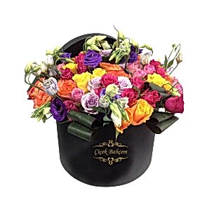 Kutuda Karışık Mevsim Çiçekleri