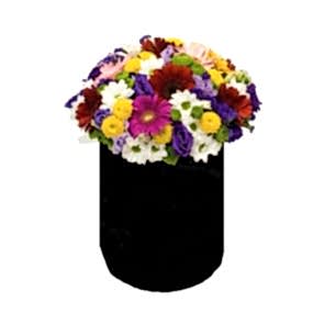 Kutu İçresinde Karışık Mevsim Çiçeği