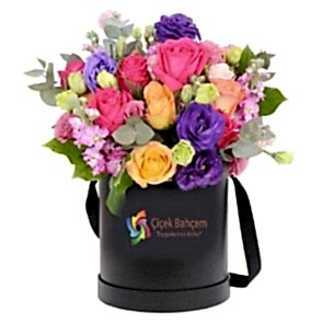 Kutu İçinde Mevsim Çiçekleri