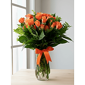 Özel Turuncu Çardak Gülleri 