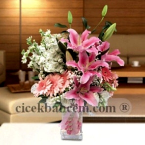 Pembe Gerbera,Lilyum ve Beyaz Şebboy Aranjmanı