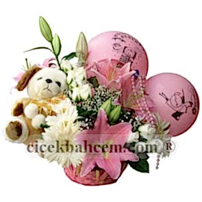 Pembe Gerbera ve Kokulu Lilyum, Hoşgeldin Bebek