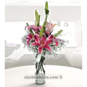 Pembe Rüya Kokulu Pembe Lilyumlar