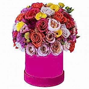 Radiant and Refined Elegance