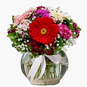 "Renklerin Büyüsü" Renkli Kır Çiçeği