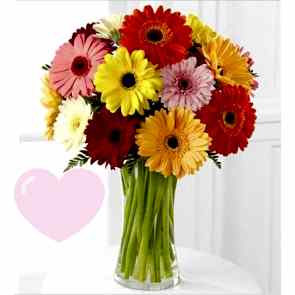 Renklerin Dansı Renkli Gerbera Papatya Aranjmanı