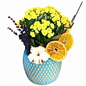 Renklerin Büyüsü Kalancuha