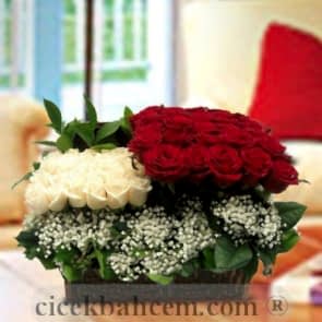 Sandıkta Kırmızı Beyaz Gül Aranjmanı