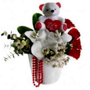 Sevimli Kahramanım '' Vazoda Kırmızı Gül Orkide'