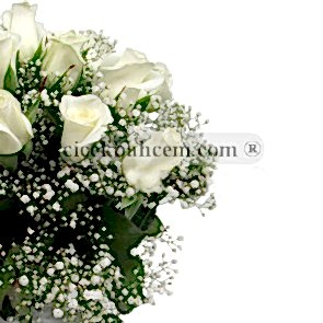 Etkileyici Güzel, Vazoda 15 Beyaz Gül 