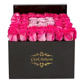 Siyah Kare Kutuda Pembe Lila 49 Gül