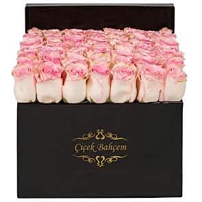 Siyah Kare Kutuda 41 Yavruağzı Gül