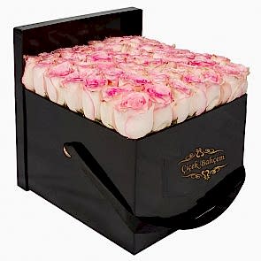 Siyah Kare Kutuda 41 Yavruağzı Gül