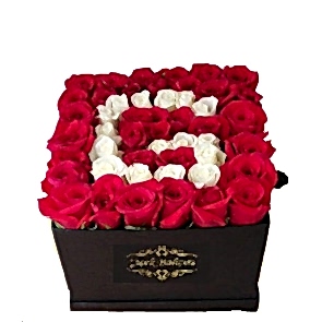 Siyah Kutuda Harf Gül, 35 Kırmızı Beyaz Gül