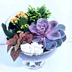 Terraium Ankara - kestanekebabi.shop