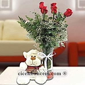 Vazo İçinde 7 Adet Kırmızı Gül ve Sevimli Oyuncak 