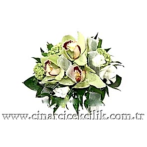 Yesil Orkide İle Hazırlanmış Orkide Gelin Buketi