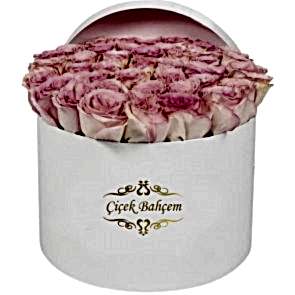 Yuvarlak Beyaz Kutuda 35 Yavru Ağzı Gül