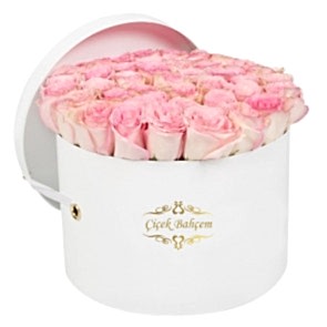 Yuvarlak Beyaz Kutuda 35 Yavru Ağzı Gül