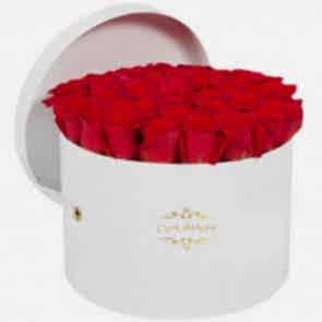 Beyaz Yuvarlak Kutuda 35 Kırmızı Gül 