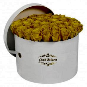 Yuvarlak Kutuda 35 Sarı Gül