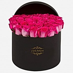 Yuvarlak Kutuda 35 Pembe Kırçıllı Gül