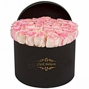 Siyah Yuvarlak Kutu İçinde 33 Adet Yavruağzı Gül