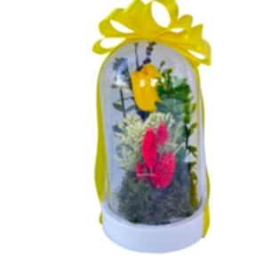 Sarı Lale Sevdiklerinize Güzel Kalıcı Bir Hediye