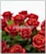 "Mutlu Günümüz."15 Kırmızı Gül Buketi