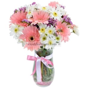 Cam Vazoda Pembe Gerbera ve Kırizantem Çiçek Tasarımı