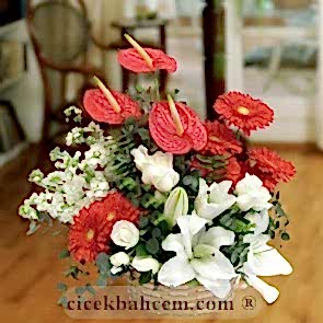 Örme Sepete Kırmızı Antorium, Beyaz Gül ve Kırmızı Gerbera Aranjmanı